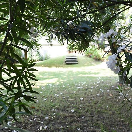 Le Rondinelle Daire Como Dış mekan fotoğraf