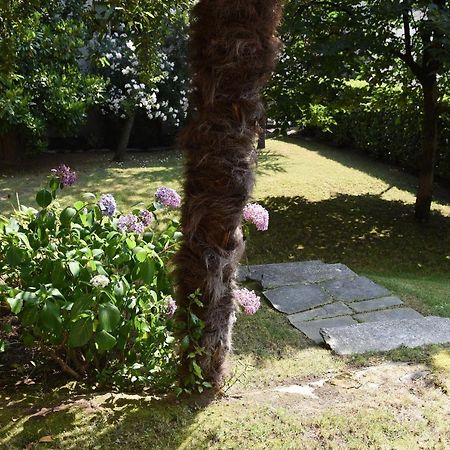 Le Rondinelle Daire Como Dış mekan fotoğraf