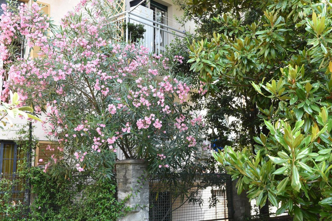 Le Rondinelle Daire Como Dış mekan fotoğraf