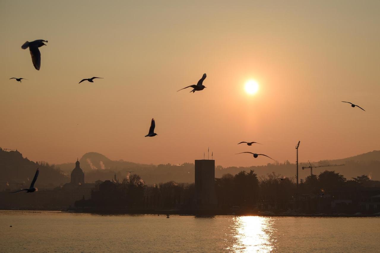 Le Rondinelle Daire Como Dış mekan fotoğraf